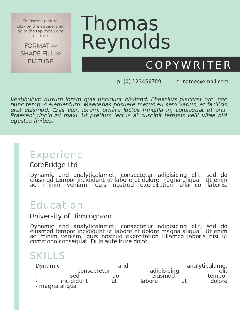 The New Candidate CV – anteprima